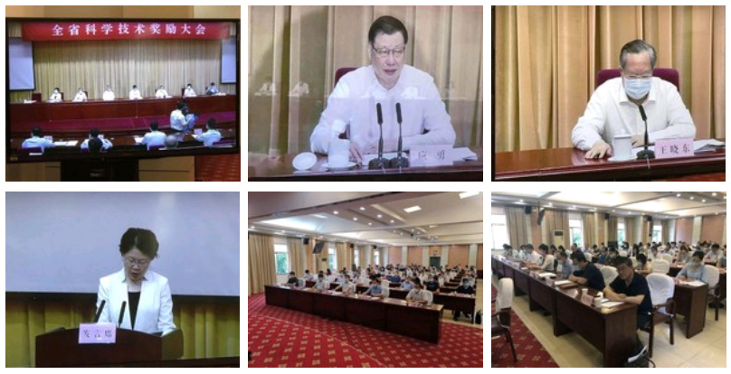 һ˶ɷ޹˾ġЧ񶯵ϵлзӦáĿٻ2019ȺʡƼȽ